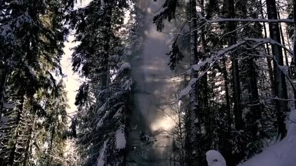 Kayakçılar Dağdan Aşağı Sürerler Hava Görünümü — Stok video
