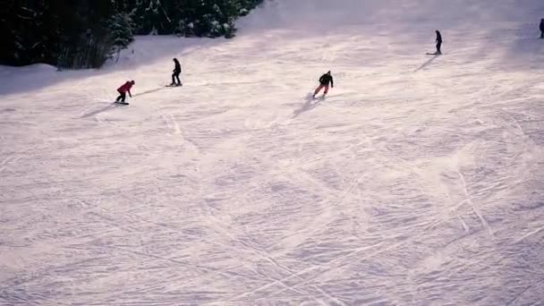 Kayakçılar Snowboardcular Dağdan Aşağı Sürerler Hava Görünümü — Stok video
