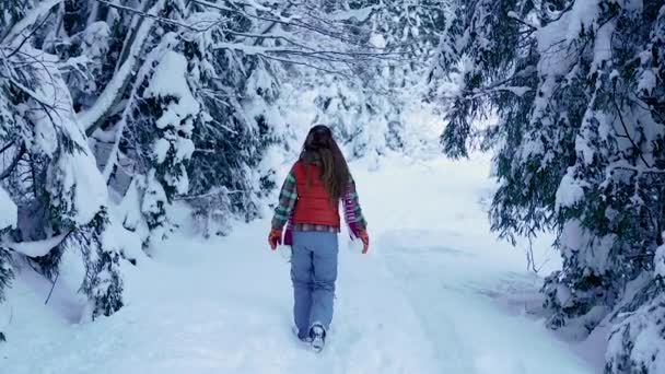 Χειμώνας Μια Γυναίκα Περπατάει Ένα Χιονισμένο Πάρκο — Αρχείο Βίντεο