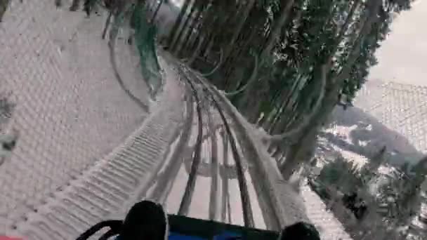 Attraction Descendre Une Colline Escarpée Sur Rodelbahn — Video