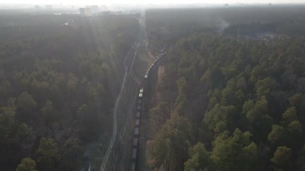 Railway Freight Train Rides Forest Aerial View — Vídeo de stock