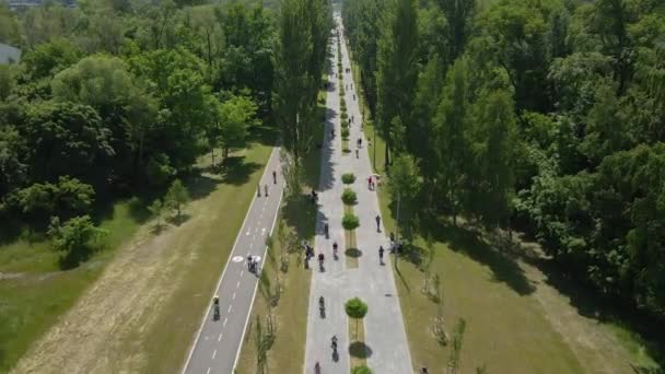 Bisikletçiler Bisikletçiler Parktaki Bisiklet Yoluna Binerler Hava Görünümü — Stok video