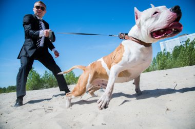 Bekçi ve köpek