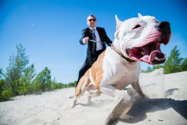 Bekçi ve köpek