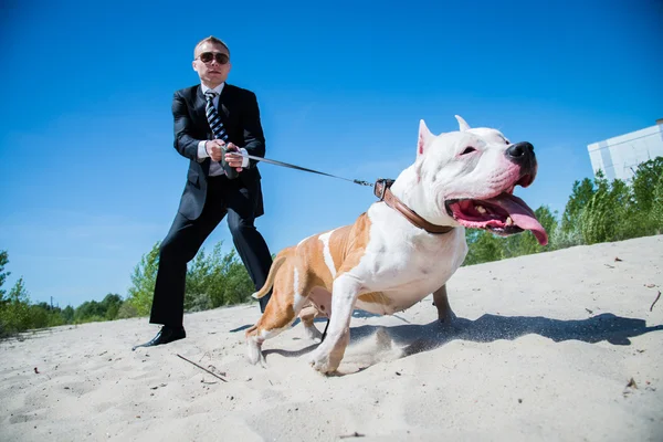 Guardia y perro — Foto de Stock