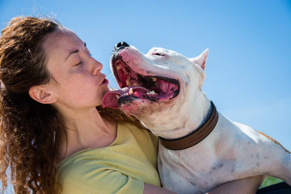 Chica con un perro en la naturaleza —  Fotos de Stock