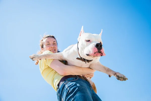 自然界に犬を飼っている女の子は — ストック写真