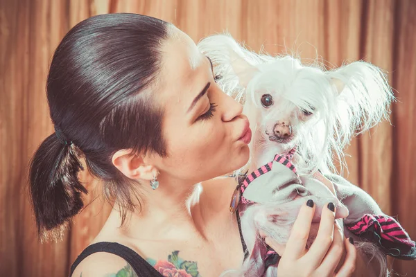 Cane con peli — Foto Stock