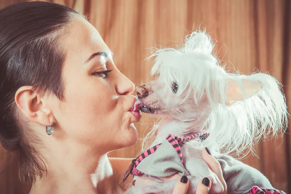 Dog with hair — Stock Photo, Image