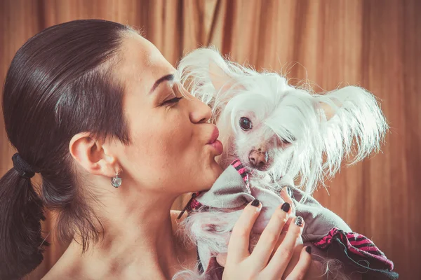 Hund mit Haaren — Stockfoto