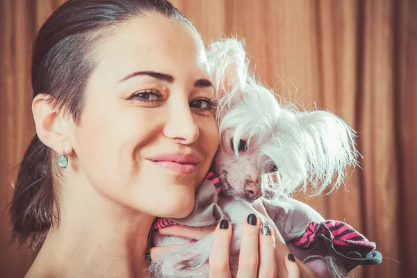 Dog with hair — Stock Photo, Image