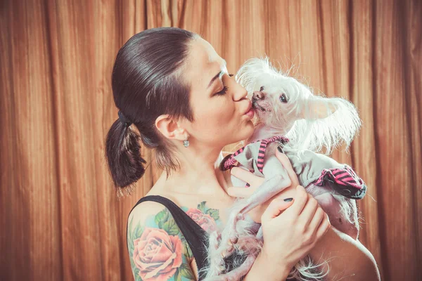 Dog with hair — Stock Photo, Image