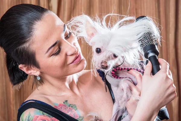 Perro con pelo — Foto de Stock