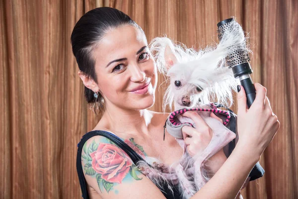 Cão com cabelo — Fotografia de Stock