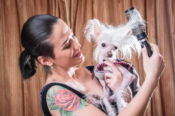 Perro con pelo — Foto de Stock