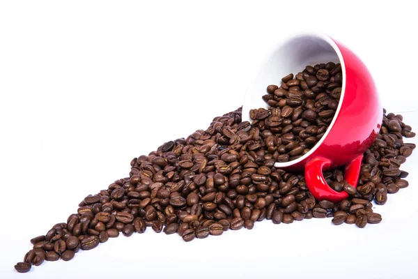 Coffee beans — Stock Photo, Image