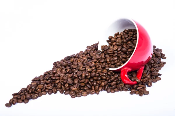 Coffee beans — Stock Photo, Image