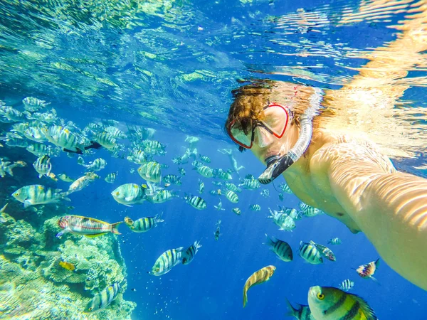 Kızıl Deniz — Stok fotoğraf