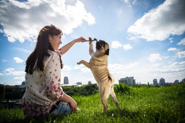Köpek bezleri