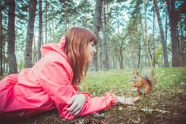 Red squirrel — Stock Photo, Image