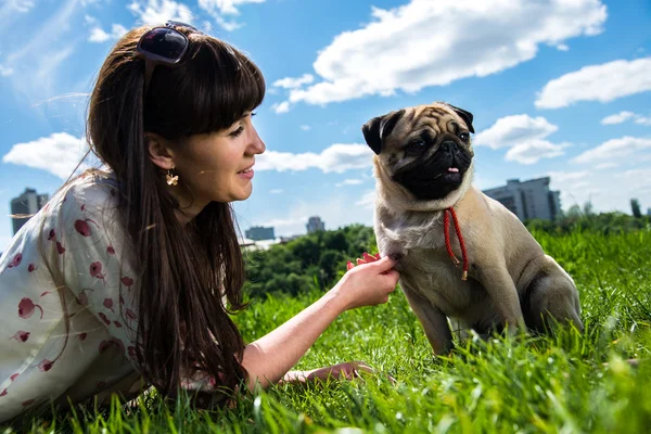 Dog Mops — Stock Photo, Image