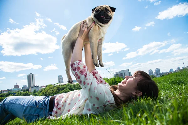 Dog Mops — Stock Photo, Image