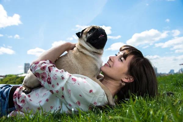 Dog Mops — Stock Photo, Image