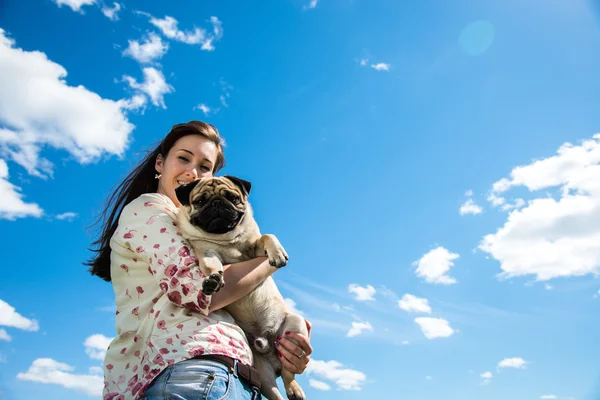 Dog Mops — Stock Photo, Image