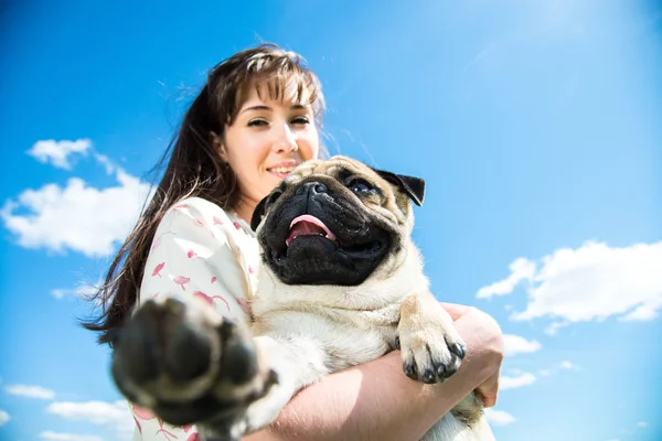 Hund moppar — Stockfoto