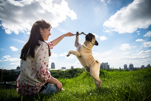 Mops para perros —  Fotos de Stock