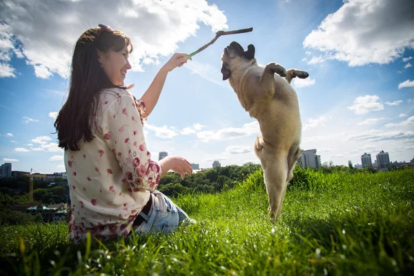 Mops para perros — Foto de Stock