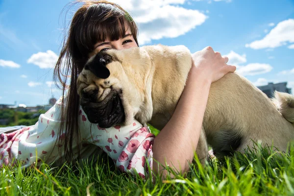 Hond mops Stockfoto