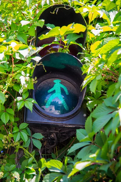 Semáforo que muestra la luz verde —  Fotos de Stock