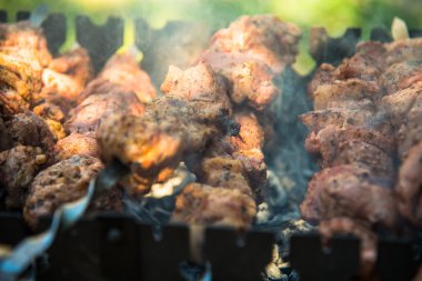 Şiş bir et domuzla