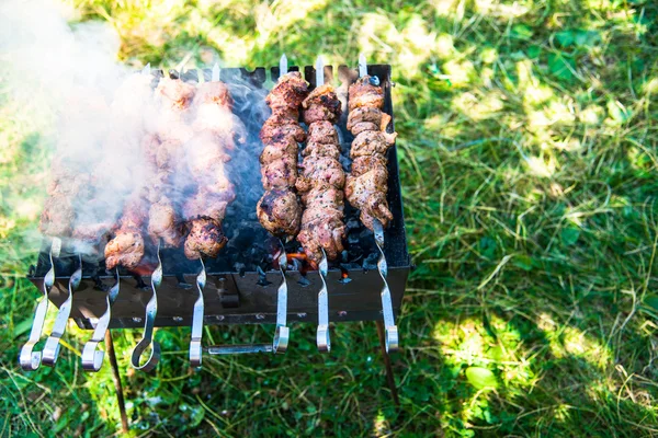 Meat cooked on the grill — Stock Photo, Image