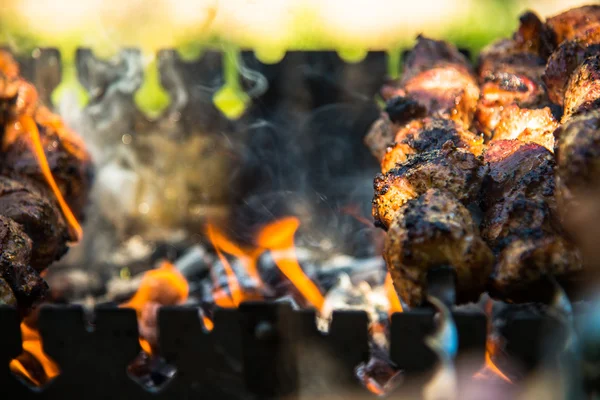 Meat cooked on the grill — Stock Photo, Image