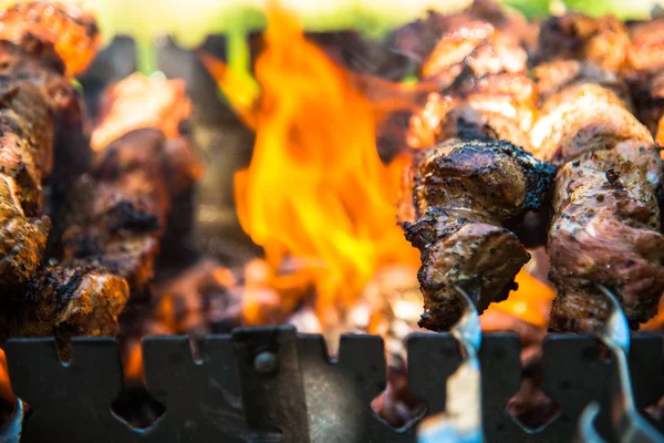 Meat cooked on the grill — Stock Photo, Image