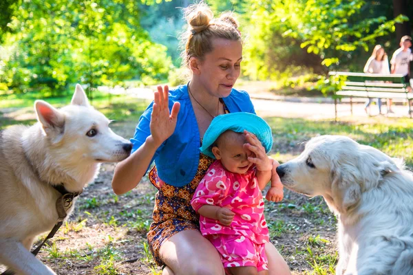 Minha mãe com uma criança pequena brincando com os cães das outras pessoas — Fotografia de Stock