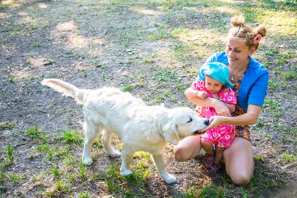 Mia madre con un bambino piccolo che gioca con una razza di cani Labrador — Foto Stock