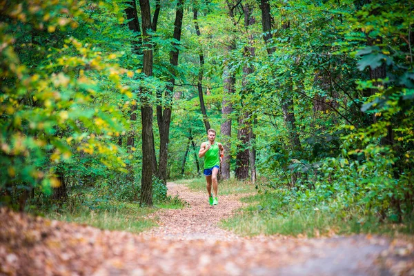 Ağaçların arasından koşan adam