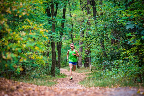 The guy running through the woods — Stock Photo, Image