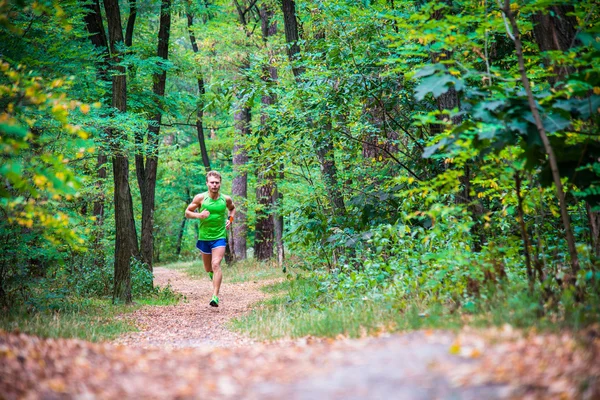 Der Typ, der durch den Wald rennt — Stockfoto