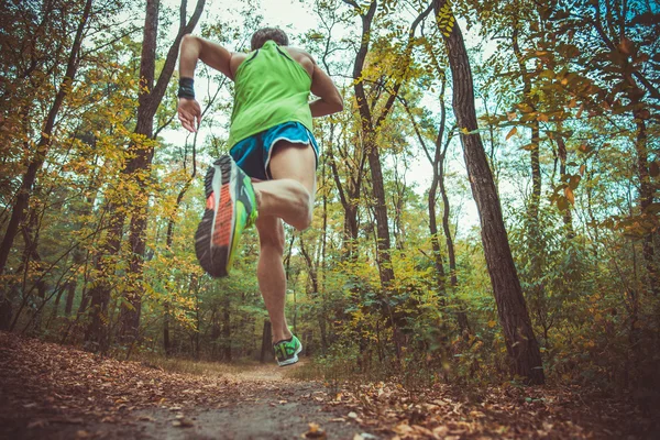 Koşu ayakkabıları basmak