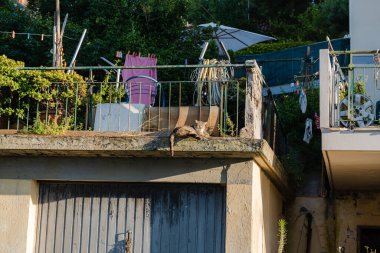 Eski balkonda güneşlenen bir kedi var..