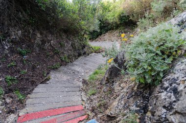 Kayalar ve bitki örtüsü arasında basamakları olan dar taş yol.