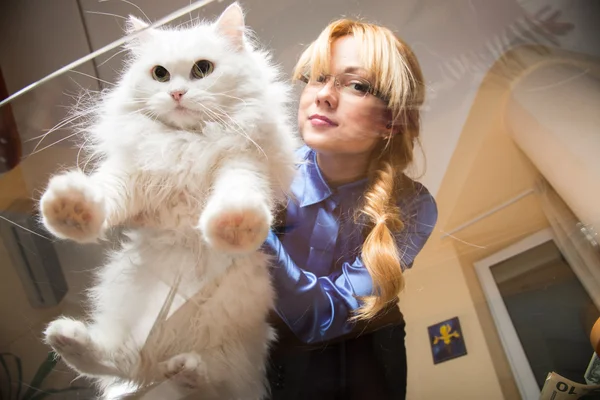 La chica sostiene un gato blanco esponjoso — Foto de Stock