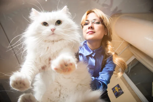 Het meisje houdt een pluizige witte kat — Stockfoto