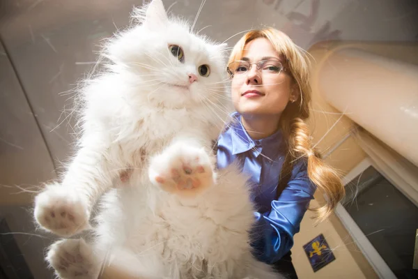 A lány, aki egy bolyhos fehér macska — Stock Fotó