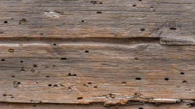 Eski ahşap ev. Ukrayna. Poles'e