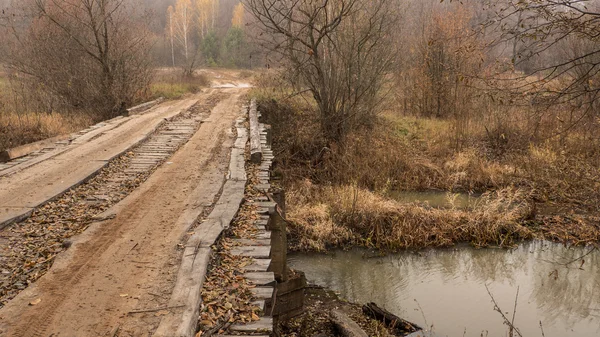 秋の風景です。ウクライナ。Poles'e — ストック写真